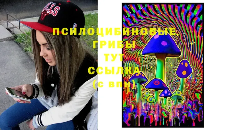 Галлюциногенные грибы Cubensis  Светлогорск 